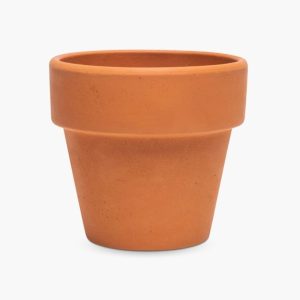 Home plant-pot-with-plant